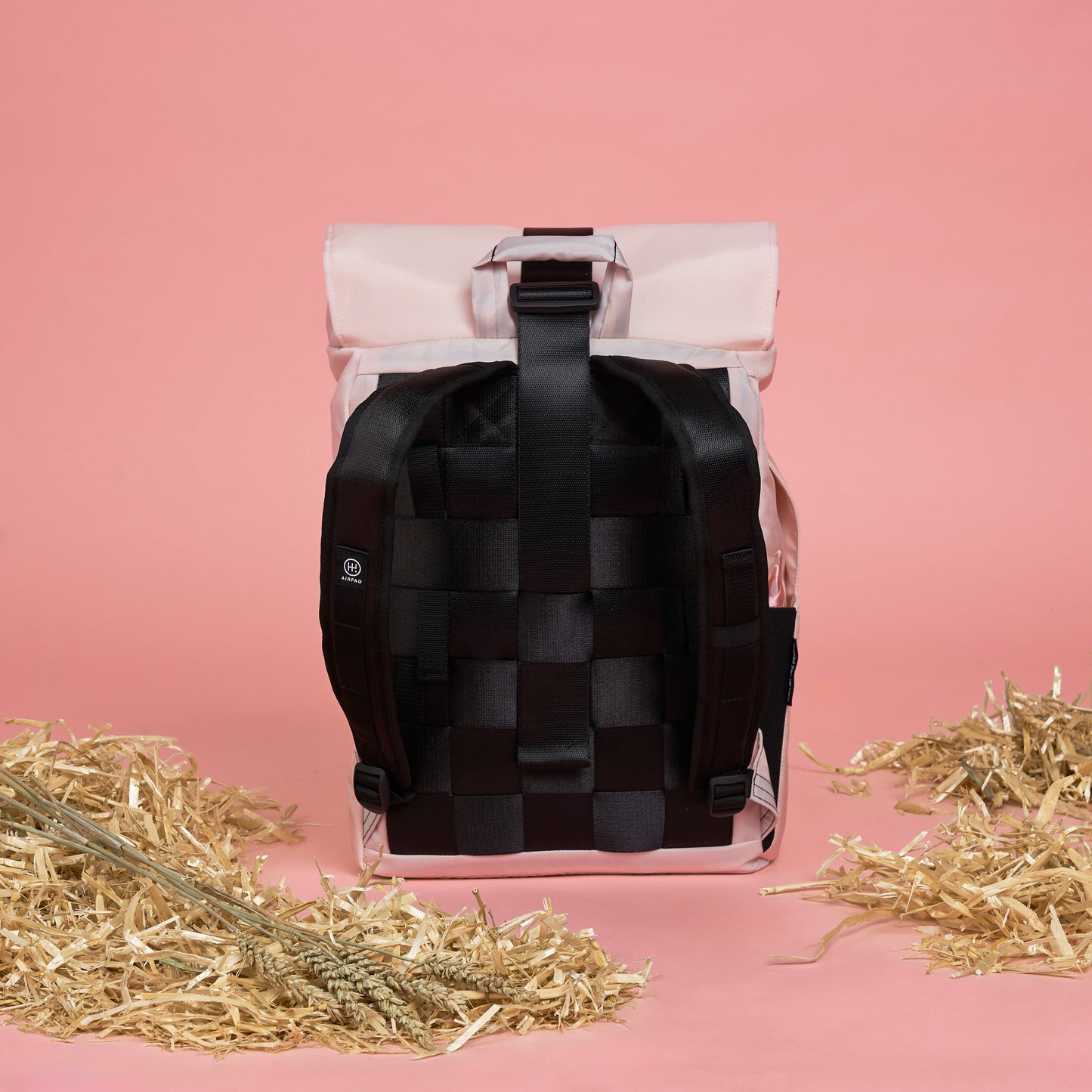Schweine-Edition Rolltop
