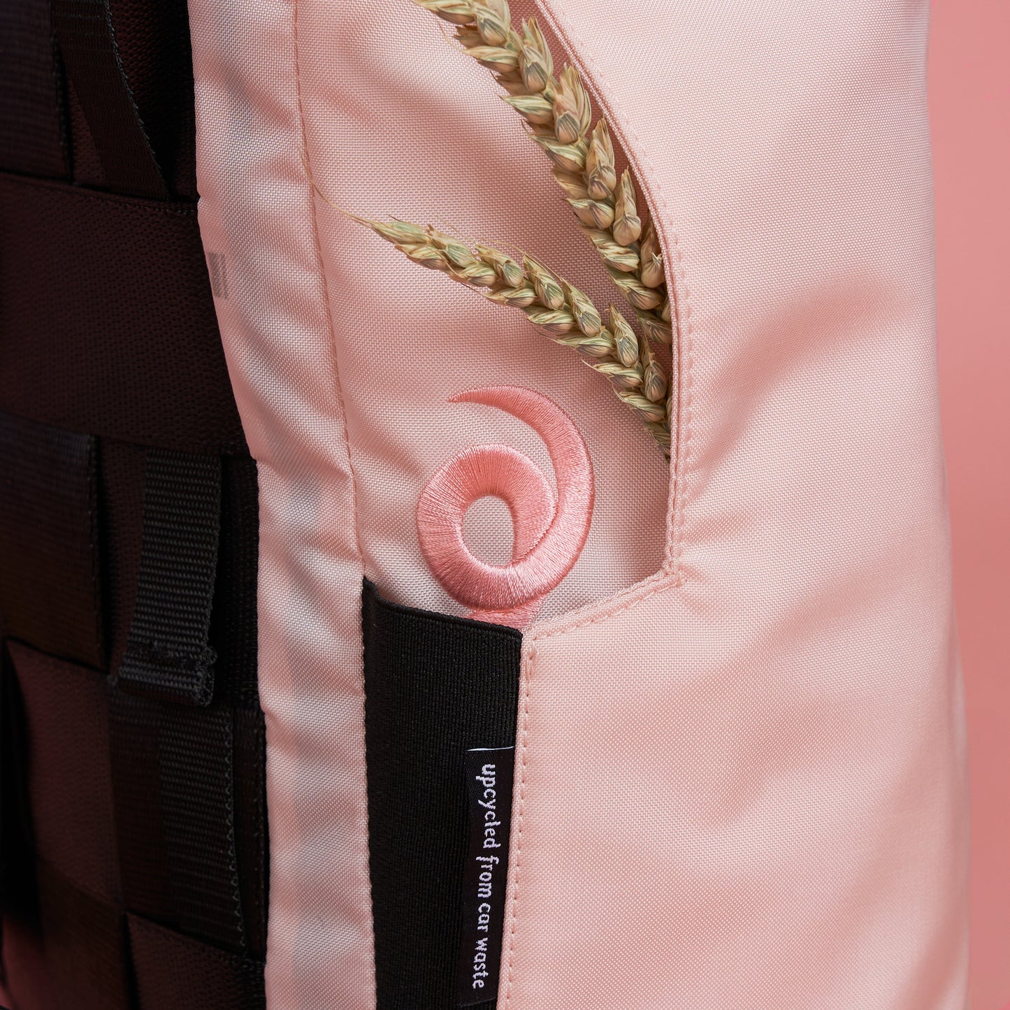 Schweine-Edition Rolltop