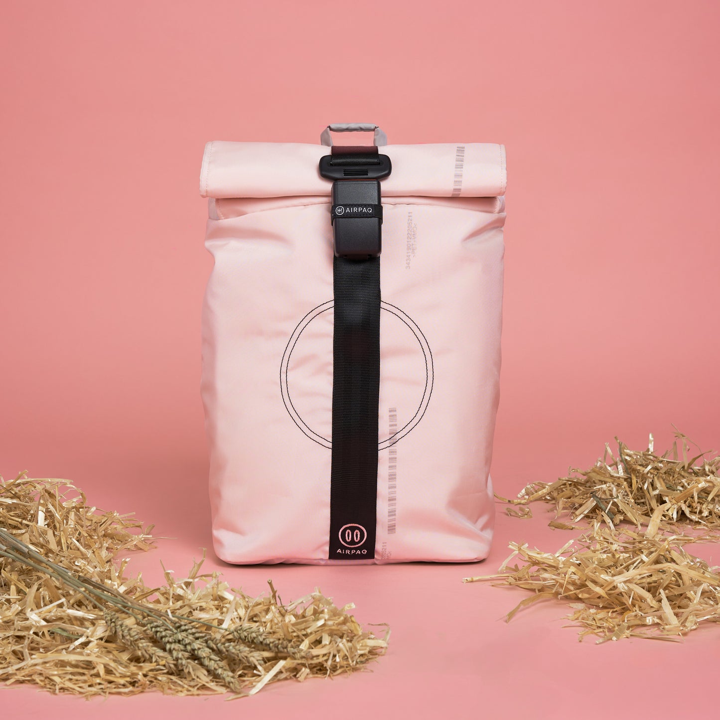 Schweine-Edition Rolltop