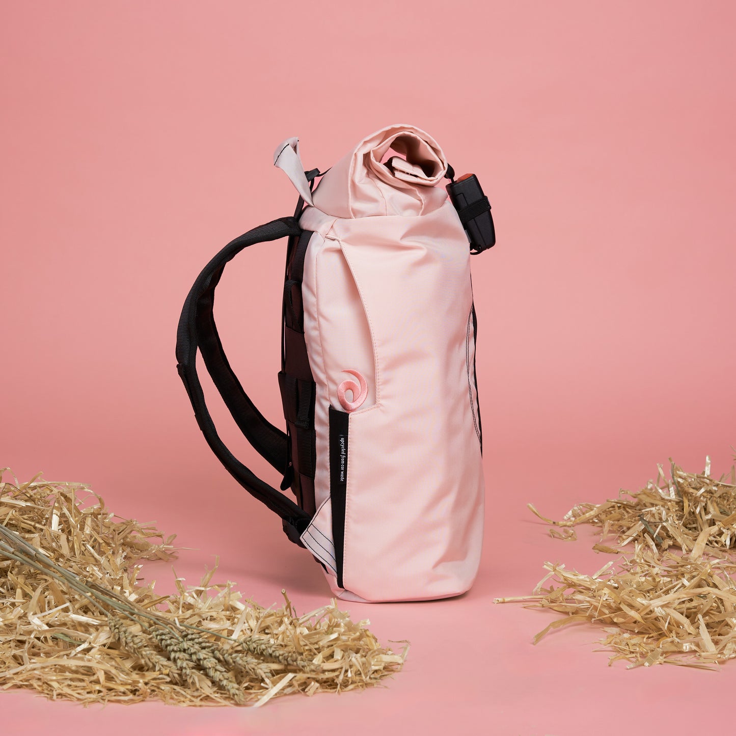 Schweine-Edition Rolltop