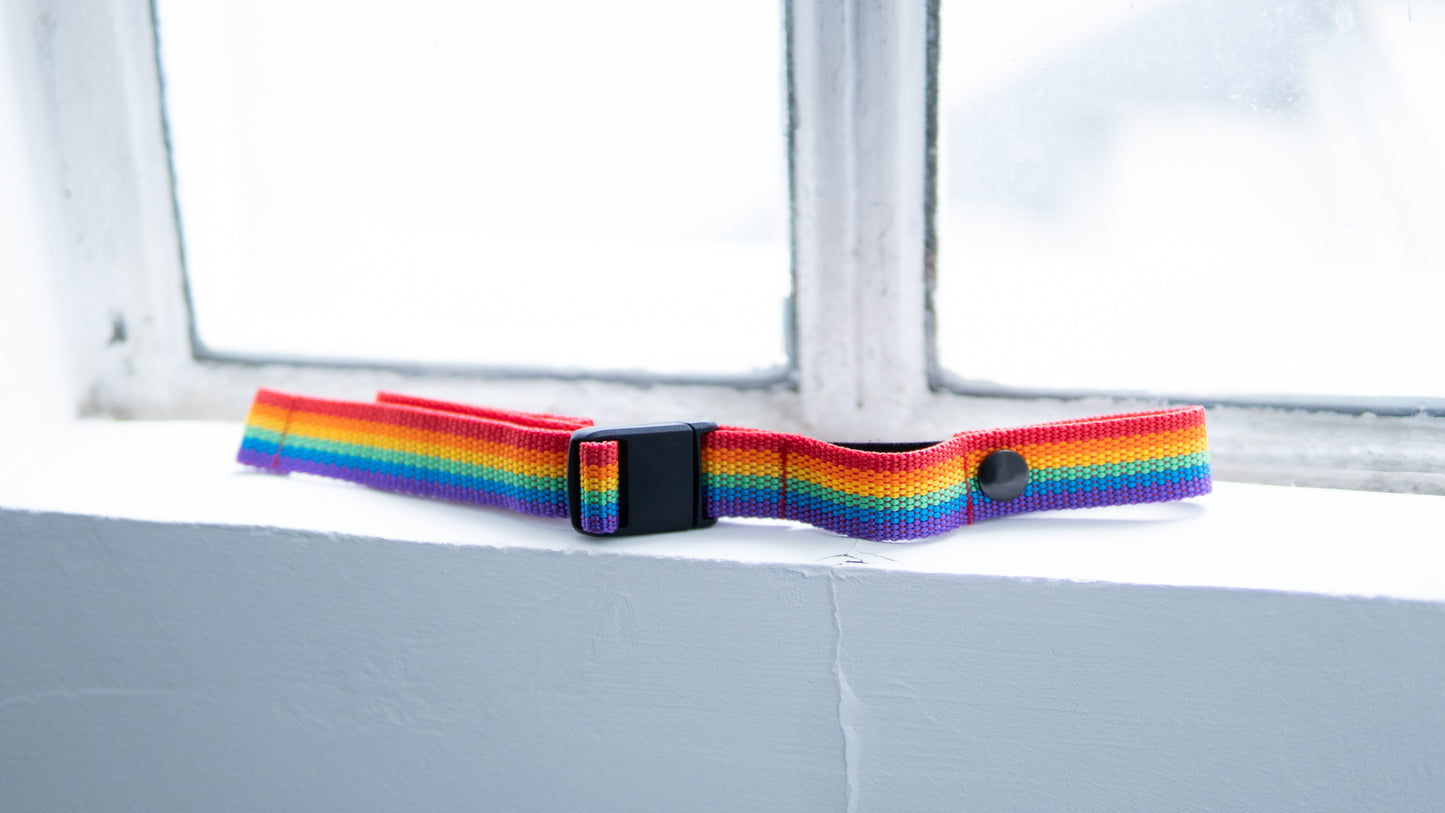 Limited Edition: Pride Brustgurt