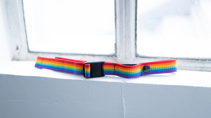 Limited Edition: Pride Brustgurt